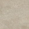 Sensi Ivory Fossil 24×48 Field Tile R+PTV Rectified