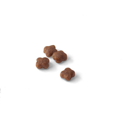 Mother & Babycat kibble