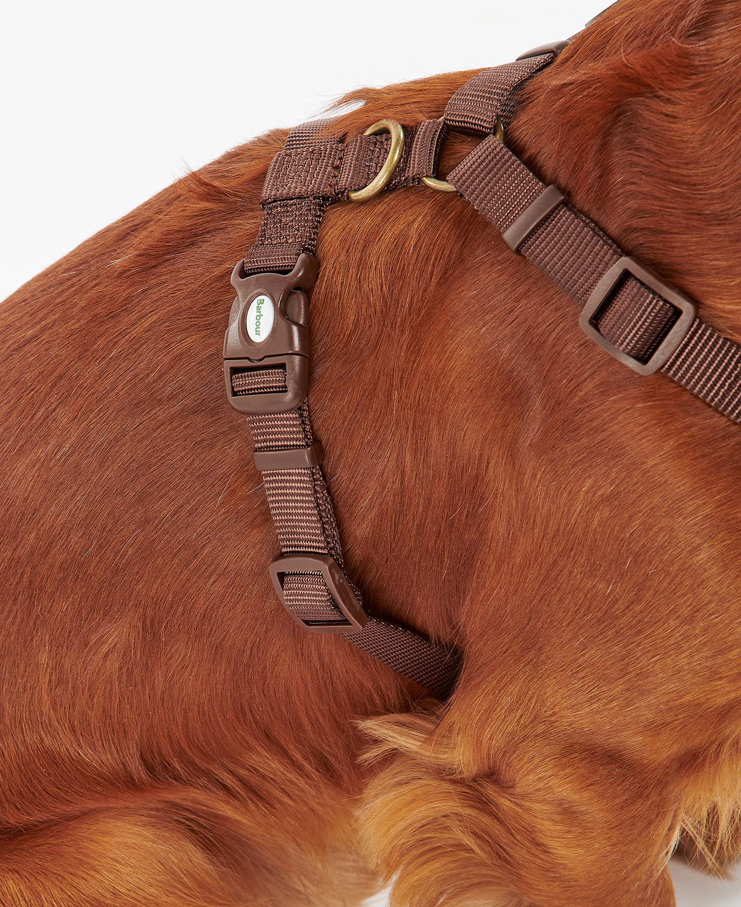 Travel And Exercise Harness image number 4