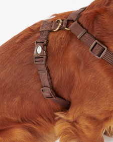 Travel And Exercise Harness Classic Tartan