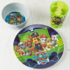 Paw Patrol Dinnerware Set, Chase, Marshall and Friends, 5-piece set