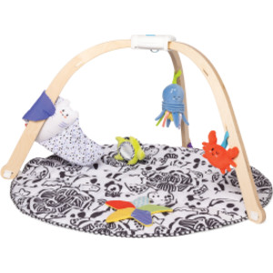Ocean Easy-Fold Play Gym