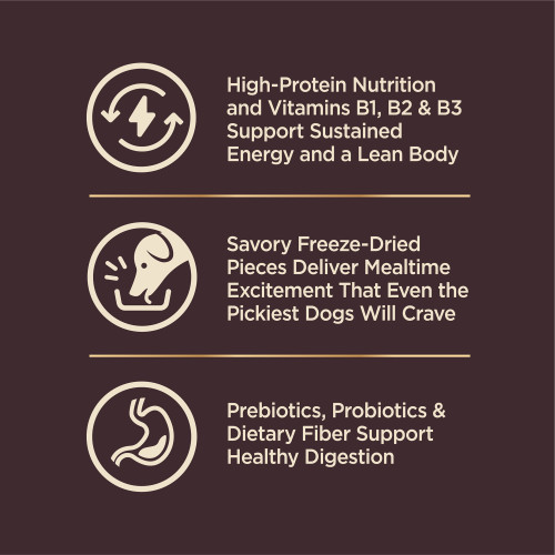 The benifts of Wellness CORE+ Wholesome Grains Ocean Whitefish, Herring Meal & Salmon Meal