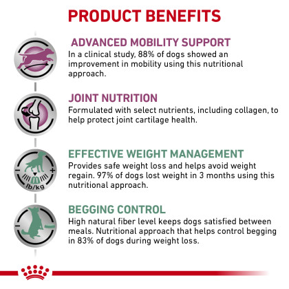 Canine Advanced Mobility Support + Satiety Dry Dog Food