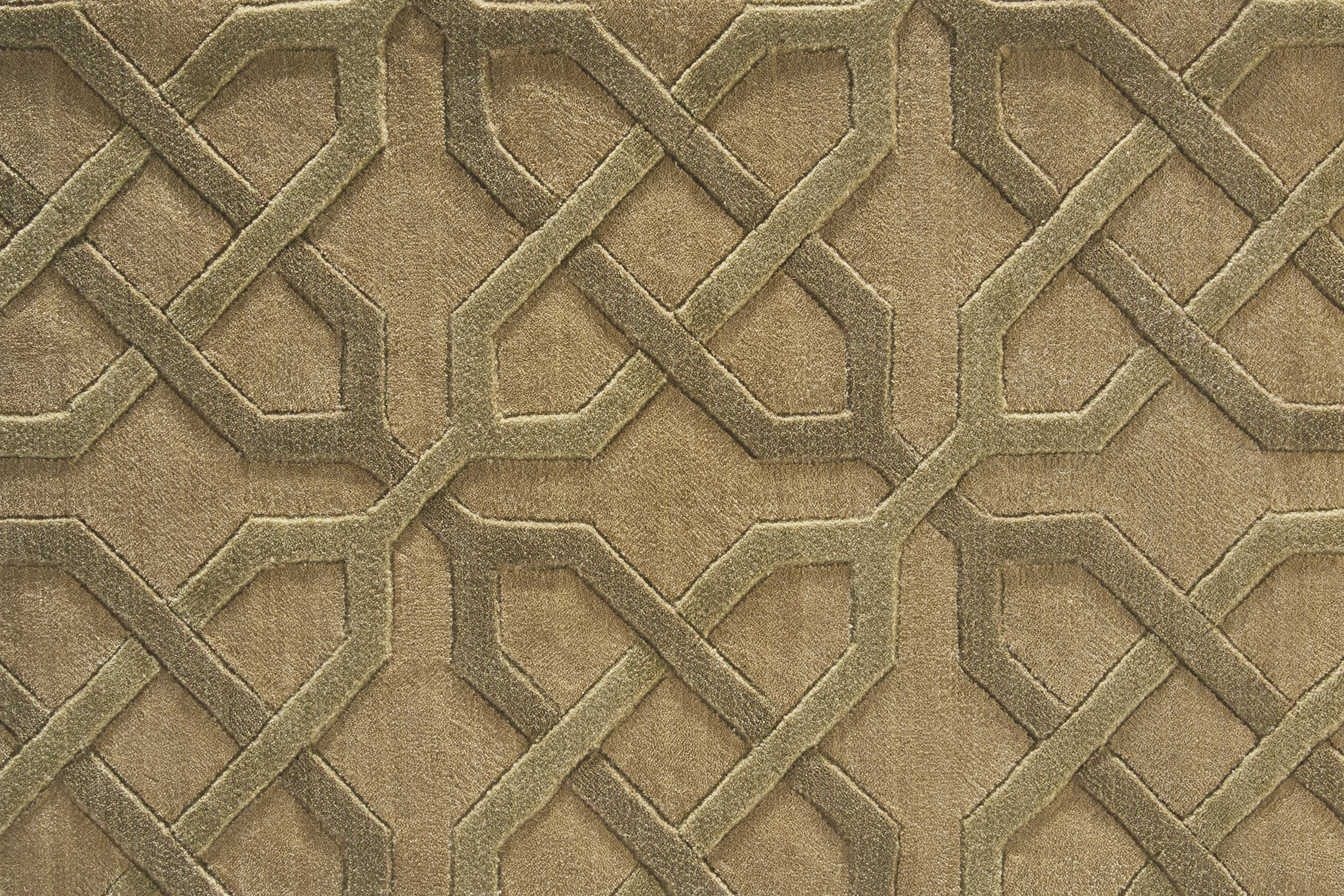 color-rug1