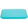 14" x 18" polypropylene fast-food tray in teal