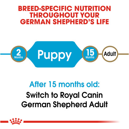 German Shepherd Puppy Dry Dog Food