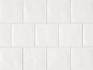 Tongue in Chic You Don’T Snow Me 5×5 Wall Tile Matte