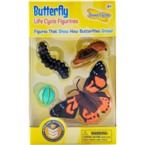Butterfly Life Cycle Stages