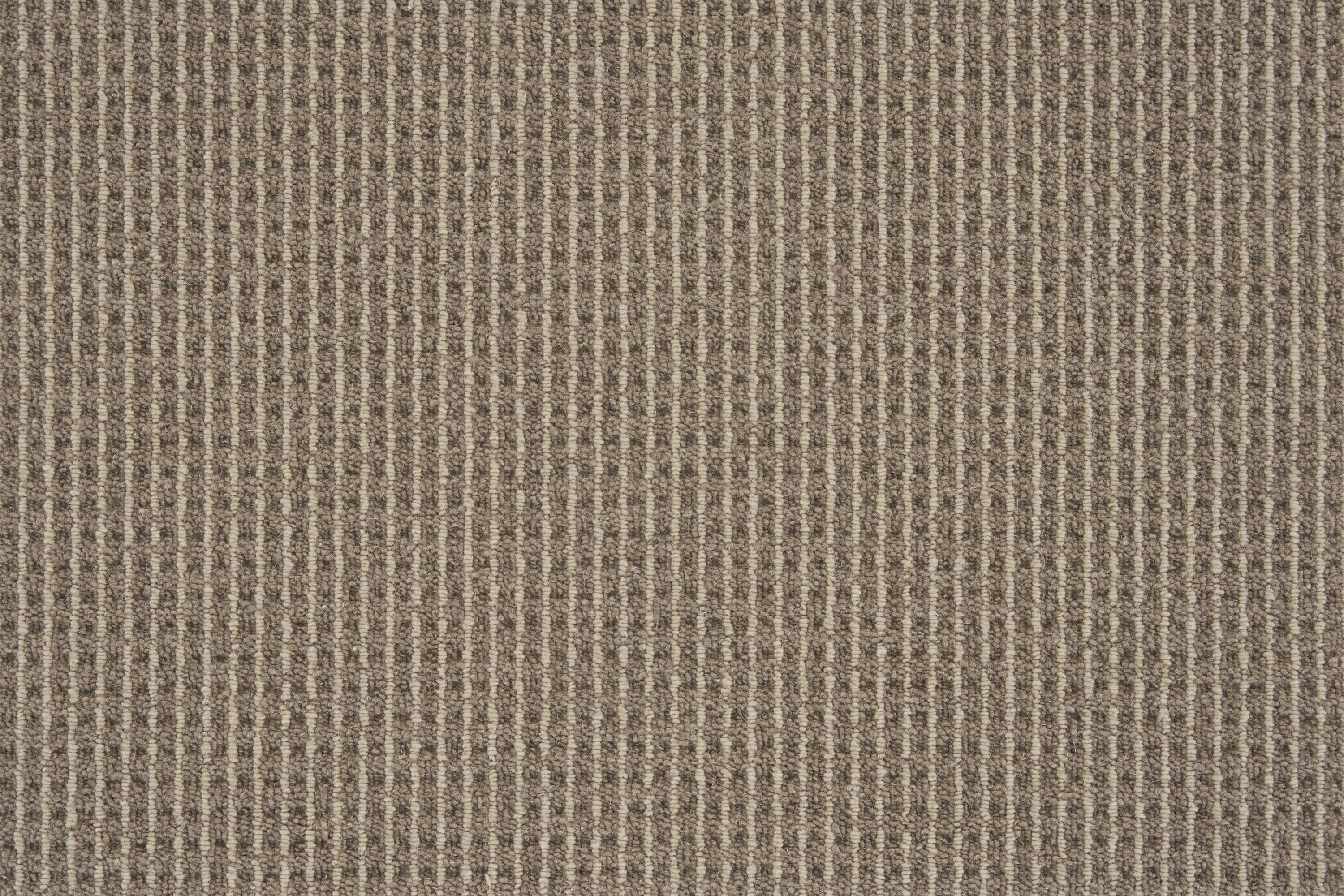 color-rug1