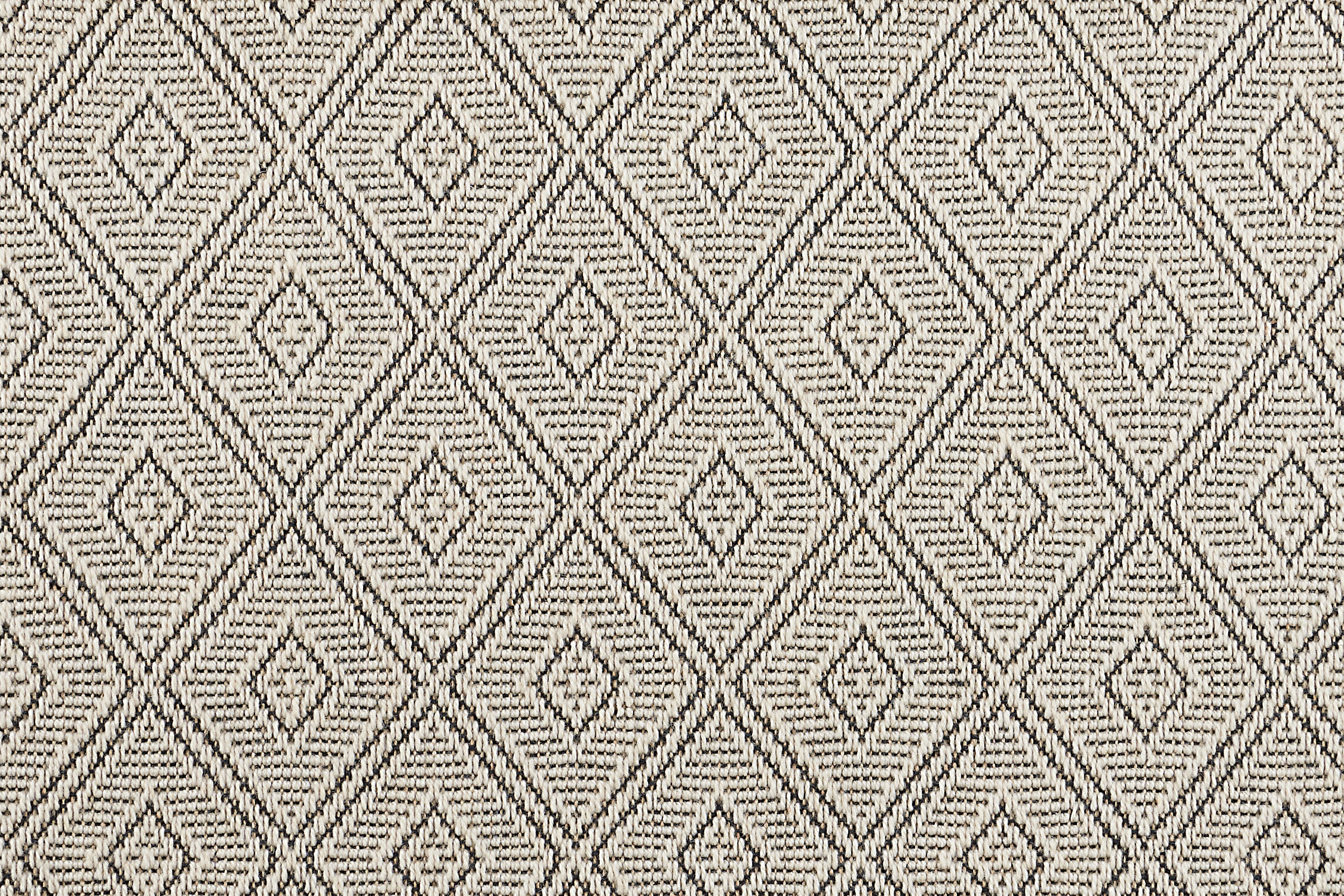 color-rug1