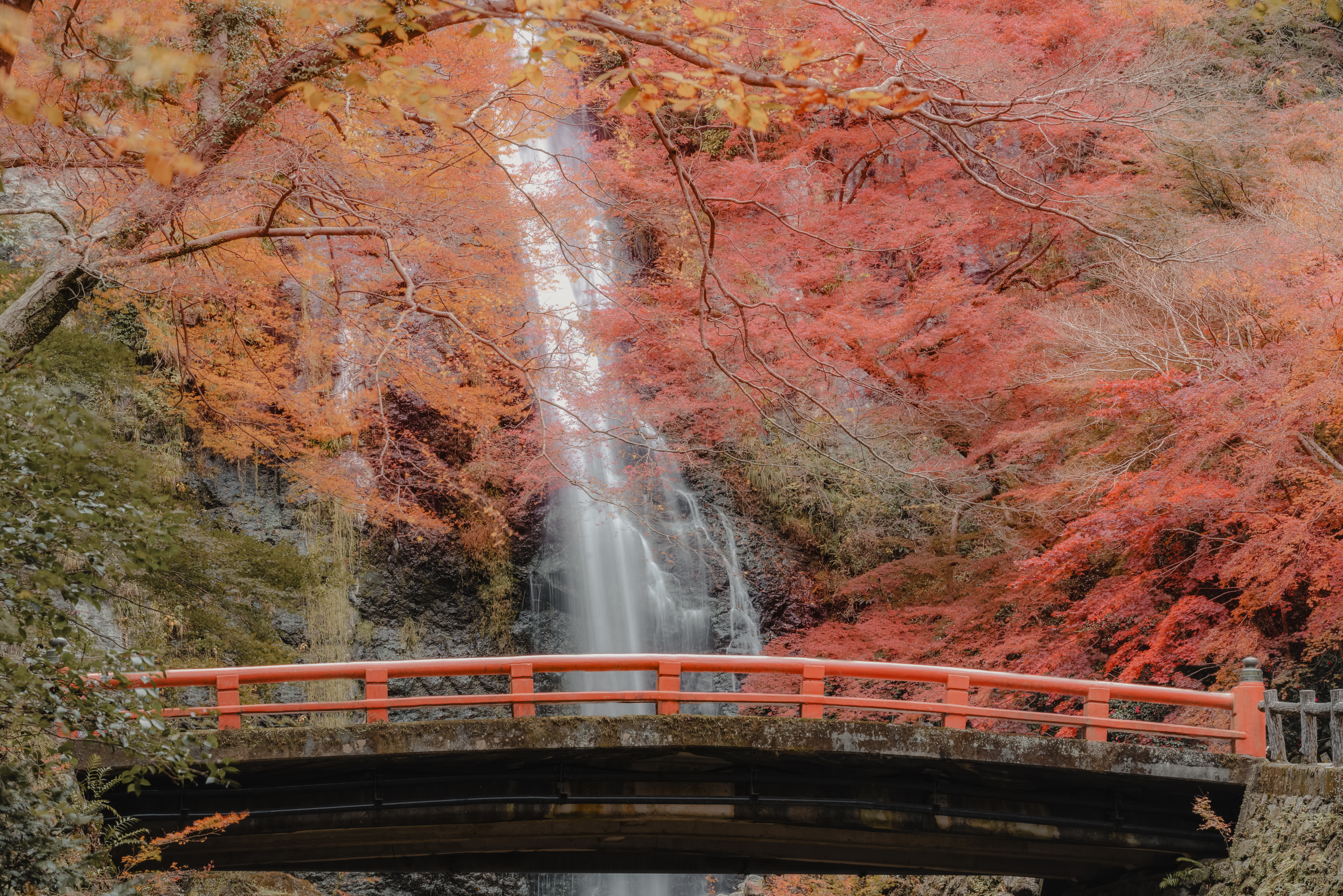 Tokyo → Tokyo (10 nights)