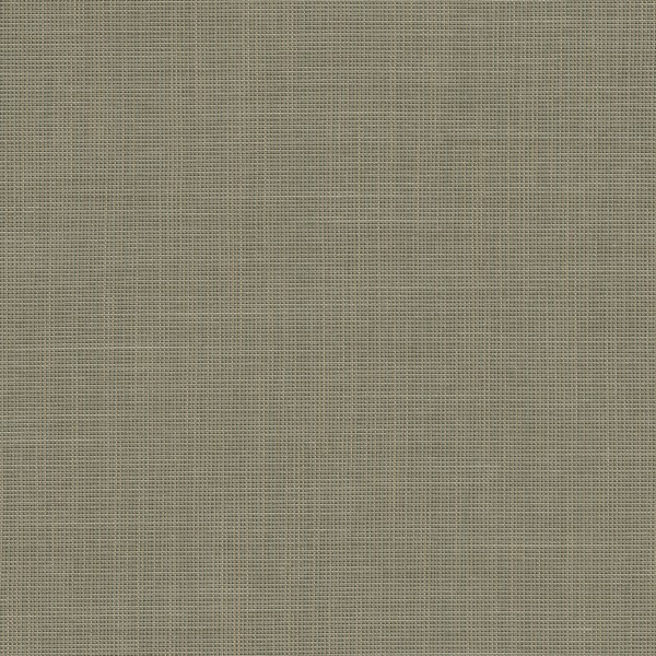 Be Be-84 Roman Blind