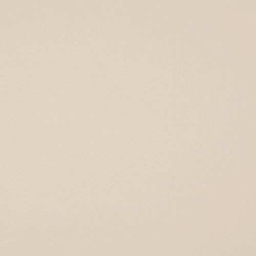 Solid pale beige wall covering fills the frame, showing subtle paper-like texture; evenly lit and static, with no additional objects or identifiable surrounding context.