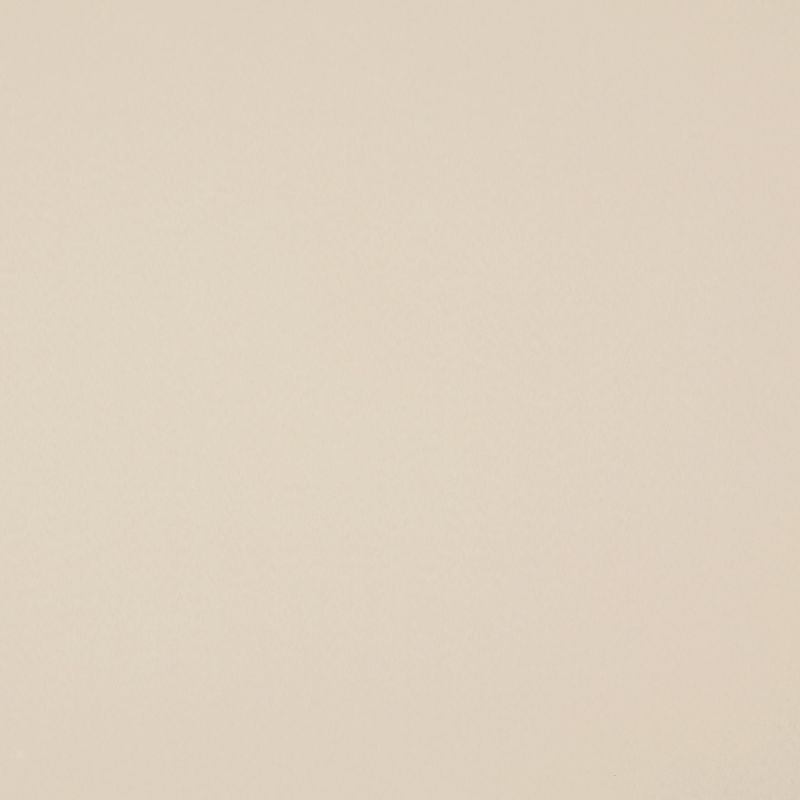Solid pale beige wall covering fills the frame, showing subtle paper-like texture; evenly lit and static, with no additional objects or identifiable surrounding context.