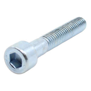 Screw