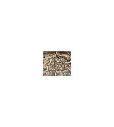 s--nFbJ5YGg--/lc753enhjdnfeo4flb8w.jpg
