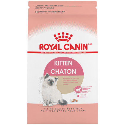 Kitten Dry Cat Food