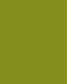 [B8264]Bainbridge Wild Olive 32