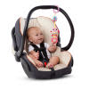 Shimmy Shakers™ Take-Along Toys