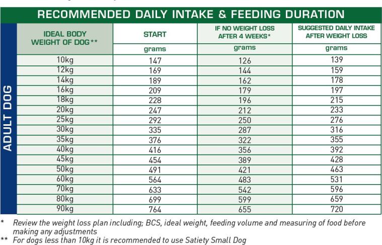 Satiety Weight Management Dry - Dog Food - ROYAL CANIN®