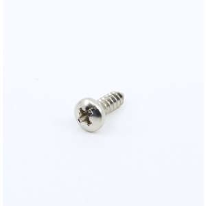 Screw