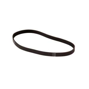 Belt Brush Drive Poly