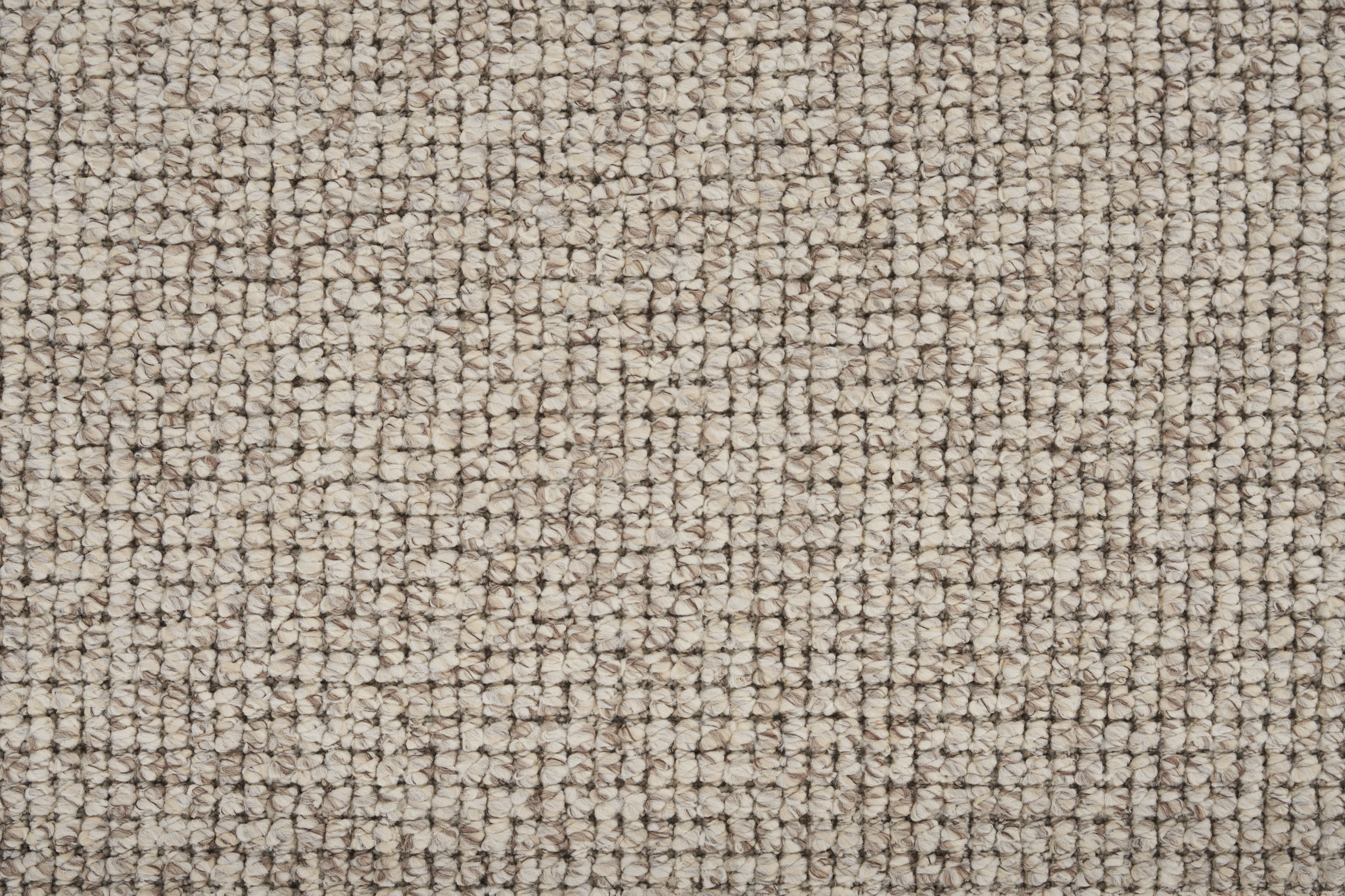 color-rug1