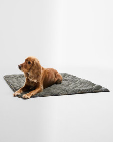 Dog Quilt and Fleece Blanket 