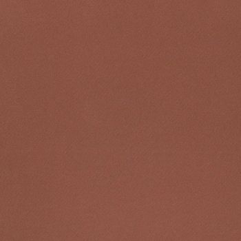 Rust-colored diagonal herringbone fabric occupying the frame, displaying fine woven texture and subtle diagonal striping; close-up, evenly lit surface with no visible objects or room context.