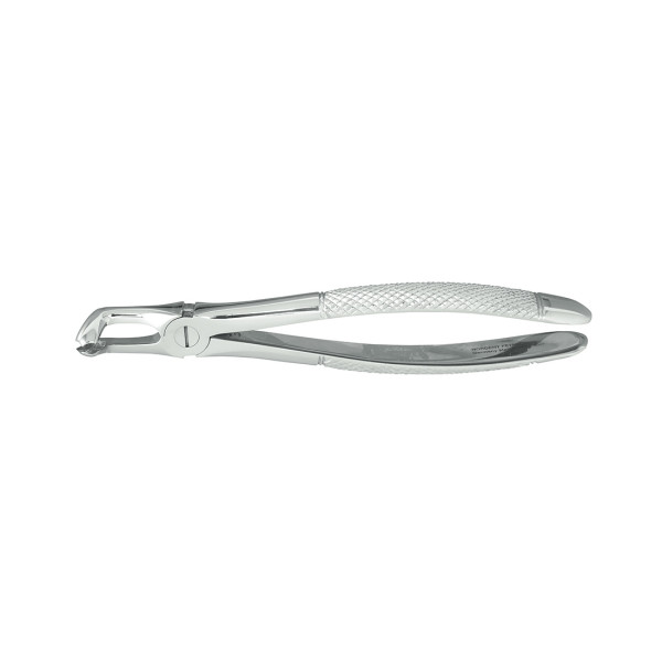 Nordent #79 Lower 3rd Molar Extraction Forcep, Serrated
