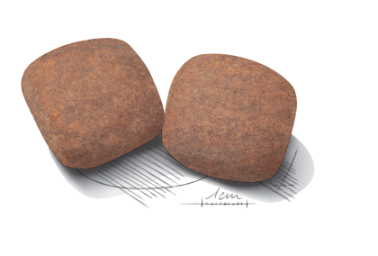 Giant Adult kibble