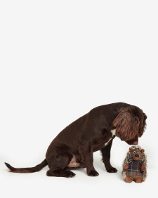 Dog Hedgehog Toy Brown-Tartan