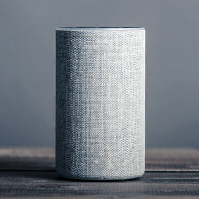 Commande vocale intégrée (Google Home ou Alexa)