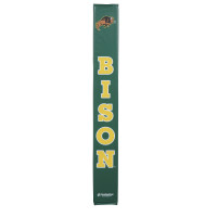 North Dakota State Bison thumbnail 2