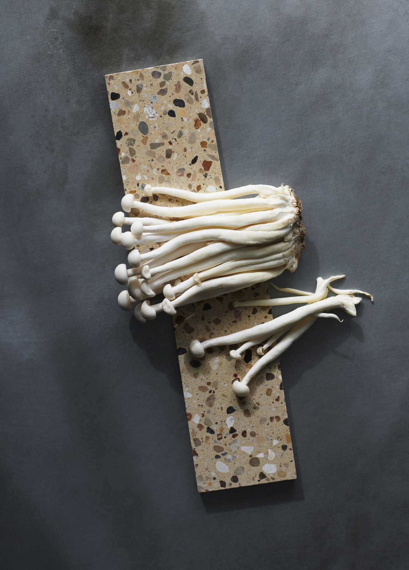 a pair of beige terrazzo tiles with mushrooms on them.