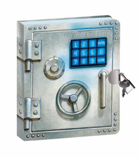Password Required Lock & Key Diary