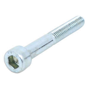 Screw