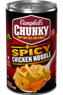 Spicy Chicken Noodle Soup