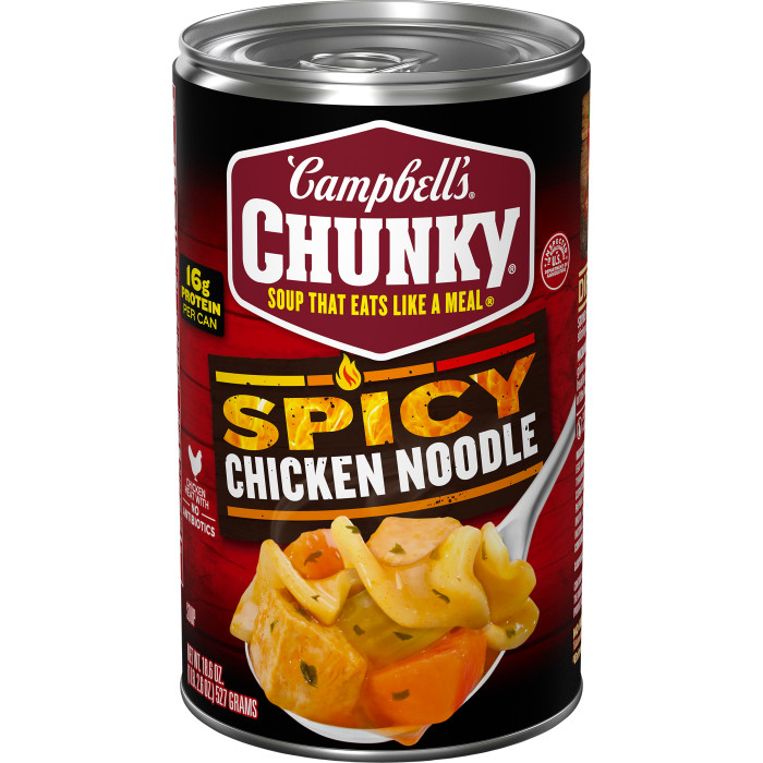 Spicy Chicken Noodle Soup
