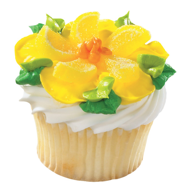 Lemon Jelly Fruit Slices