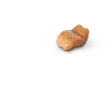Bulldog Adult kibble
