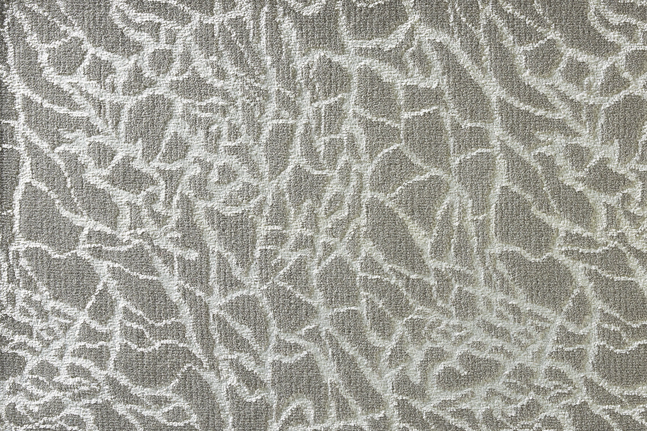 color-rug1