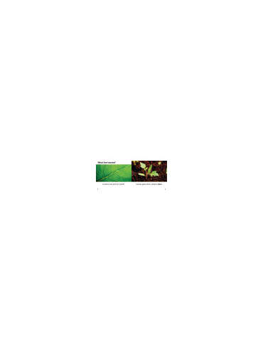 s--o7y-6RF_--/wlj53fopptdw8pv2x5iu.jpg