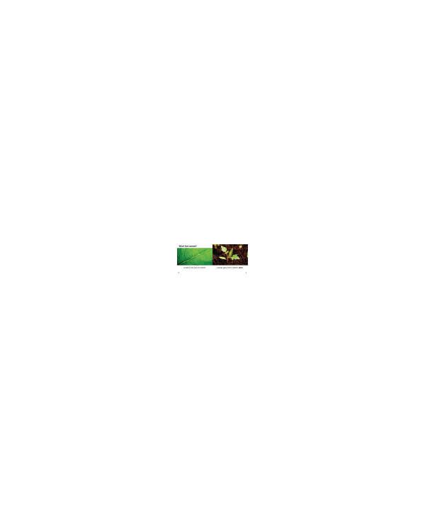 s--o7y-6RF_--/wlj53fopptdw8pv2x5iu.jpg