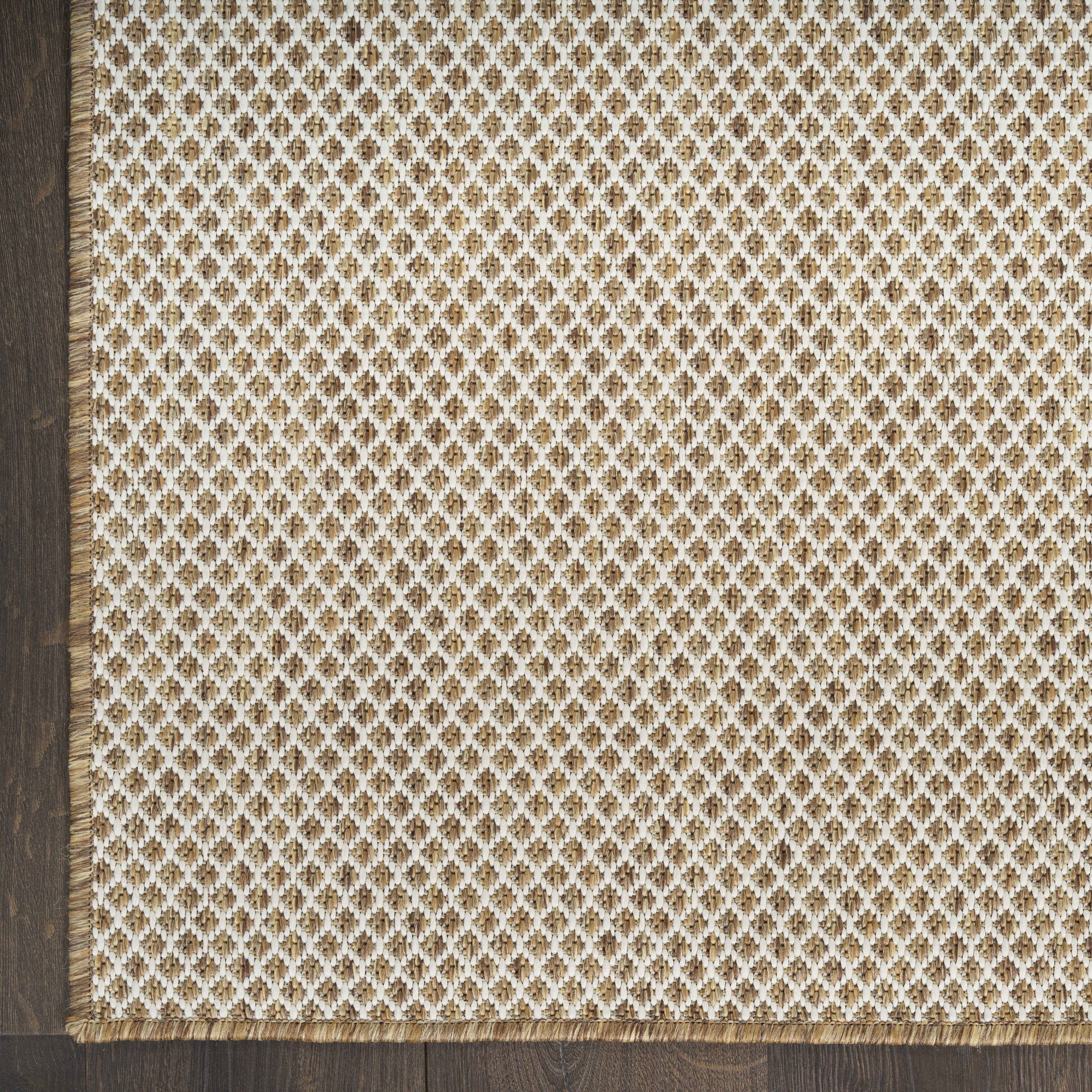 Nourison Courtyard 2' x 3' Jute Ivory Modern Rug