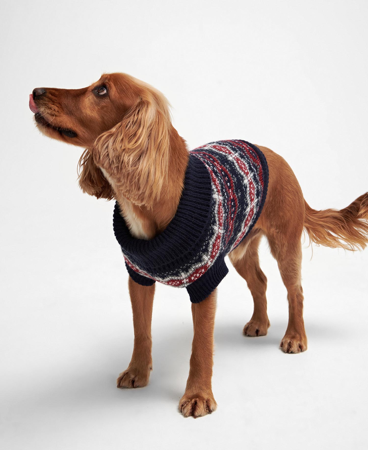 Case Fairisle Dog Jumper image number 3