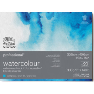 Professional Watercolor Block, Cold Press, 12X16 in, 300 gsm (140 lb), 20 Pages