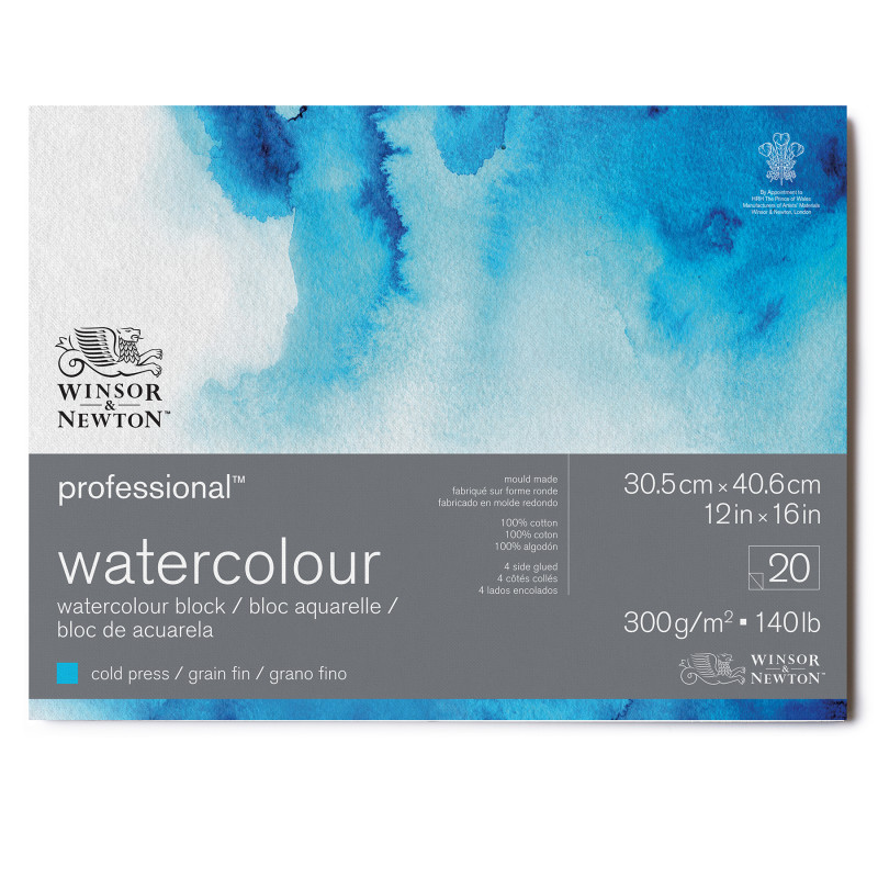 Professional Watercolor Block, Cold Press, 12X16 in, 300 gsm (140 lb), 20 Pages
