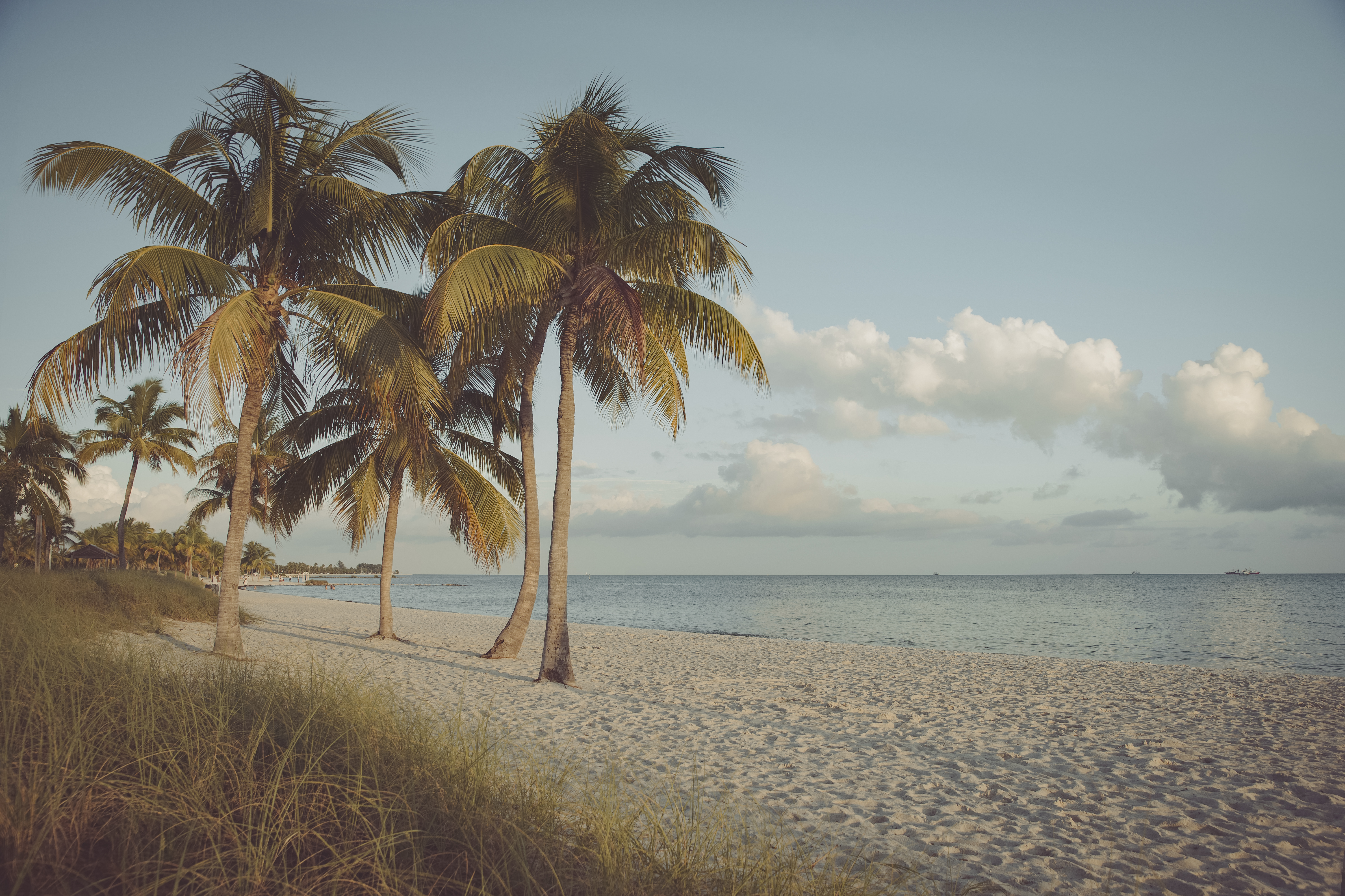 San Juan → Miami (7 nights)